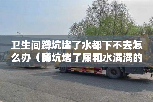 卫生间蹲坑堵了水都下不去怎么办（蹲坑堵了屎和水满满的下不去）