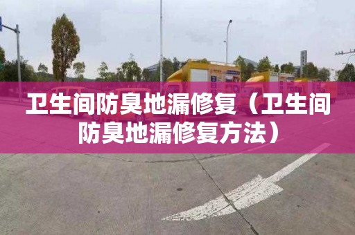 卫生间防臭地漏修复（卫生间防臭地漏修复方法）