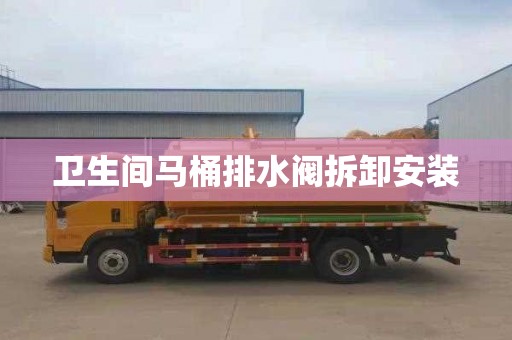 卫生间马桶排水阀拆卸安装