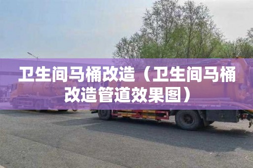 卫生间马桶改造（卫生间马桶改造管道效果图）