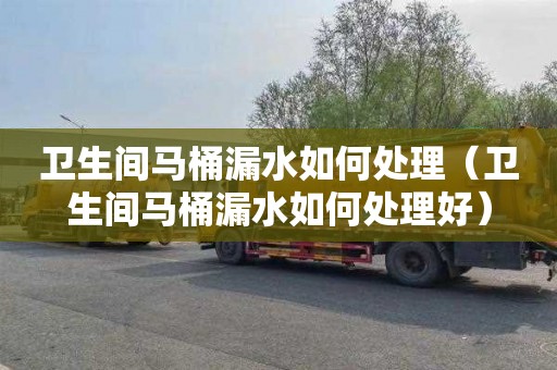 卫生间马桶漏水如何处理（卫生间马桶漏水如何处理好）