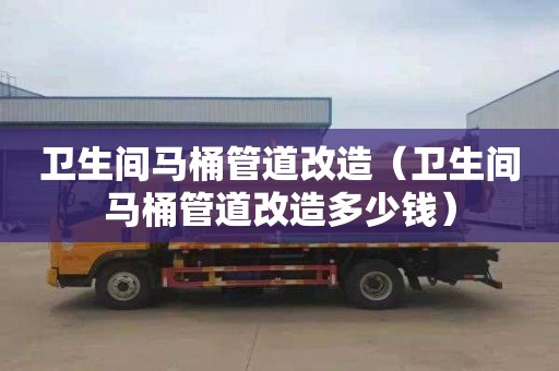 卫生间马桶管道改造（卫生间马桶管道改造多少钱）