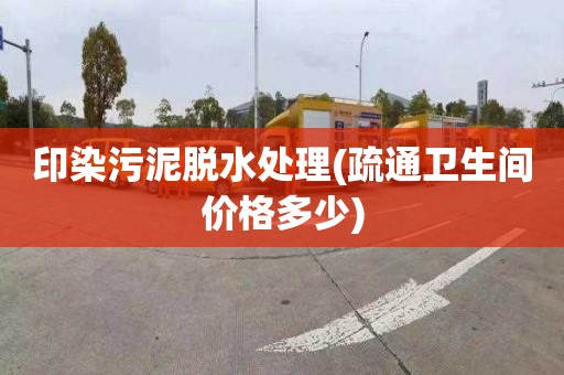 印染污泥脱水处理(疏通卫生间价格多少)