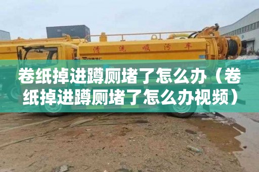 卷纸掉进蹲厕堵了怎么办（卷纸掉进蹲厕堵了怎么办视频）