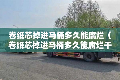 卷纸芯掉进马桶多久能腐烂（卷纸芯掉进马桶多久能腐烂干净）