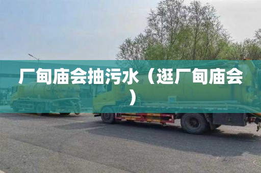 厂甸庙会抽污水（逛厂甸庙会）