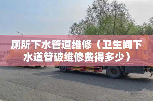 厕所下水管道维修（卫生间下水道管破维修费得多少）