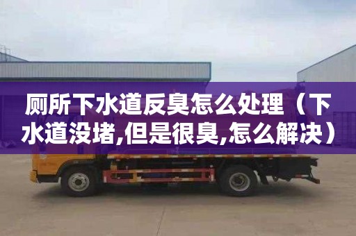 厕所下水道反臭怎么处理（下水道没堵,但是很臭,怎么解决）