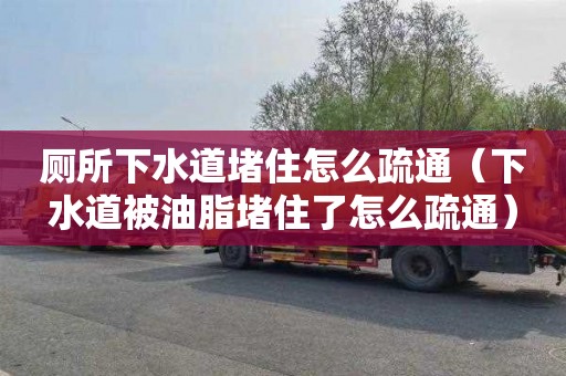 厕所下水道堵住怎么疏通（下水道被油脂堵住了怎么疏通）