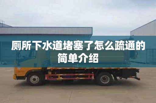 厕所下水道堵塞了怎么疏通的简单介绍