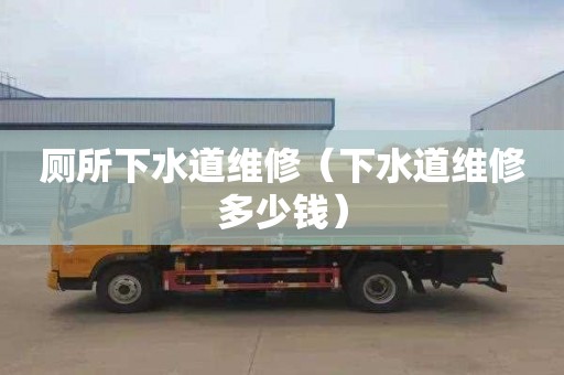 厕所下水道维修（下水道维修多少钱）