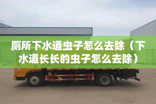 厕所下水道虫子怎么去除（下水道长长的虫子怎么去除）