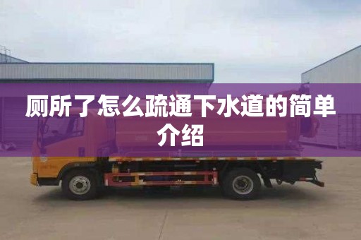 厕所了怎么疏通下水道的简单介绍