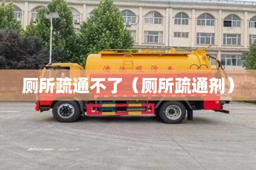 厕所疏通不了（厕所疏通剂）
