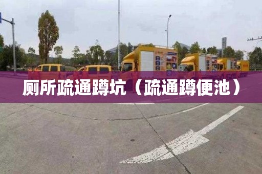 厕所疏通蹲坑（疏通蹲便池）