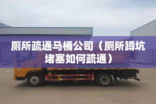 厕所疏通马桶公司（厕所蹲坑堵塞如何疏通）
