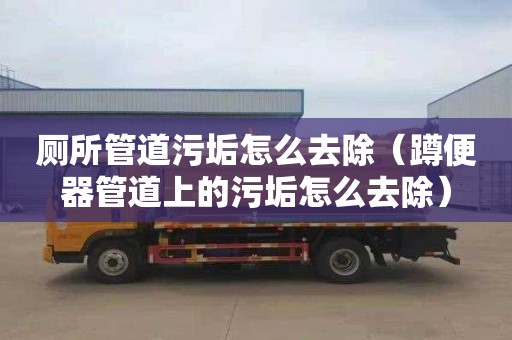 厕所管道污垢怎么去除（蹲便器管道上的污垢怎么去除）