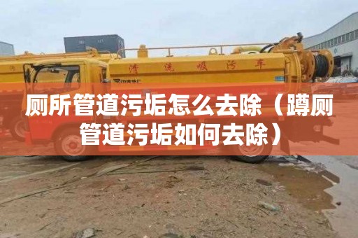 厕所管道污垢怎么去除（蹲厕管道污垢如何去除）