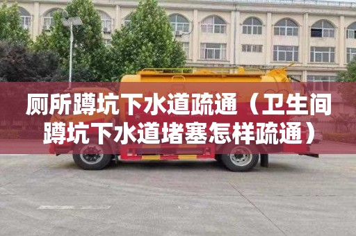 厕所蹲坑下水道疏通（卫生间蹲坑下水道堵塞怎样疏通）