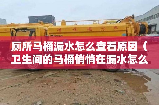 厕所马桶漏水怎么查看原因（卫生间的马桶悄悄在漏水怎么维修）