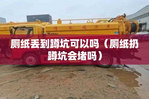 厕纸丢到蹲坑可以吗（厕纸扔蹲坑会堵吗）