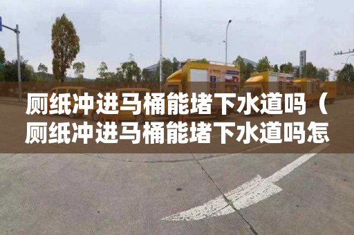 厕纸冲进马桶能堵下水道吗（厕纸冲进马桶能堵下水道吗怎么办）