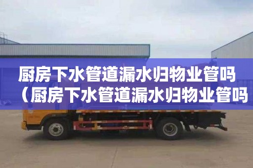 厨房下水管道漏水归物业管吗（厨房下水管道漏水归物业管吗怎么投诉）