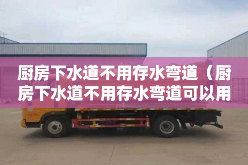 厨房下水道不用存水弯道（厨房下水道不用存水弯道可以用吗）
