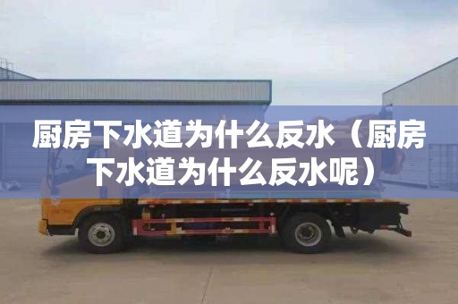 厨房下水道为什么反水（厨房下水道为什么反水呢）