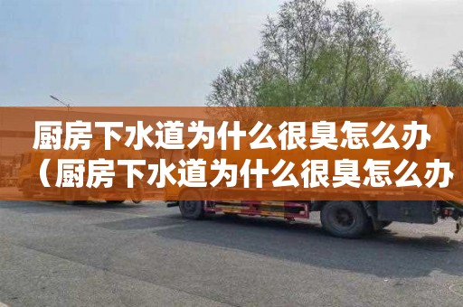 厨房下水道为什么很臭怎么办（厨房下水道为什么很臭怎么办呢）