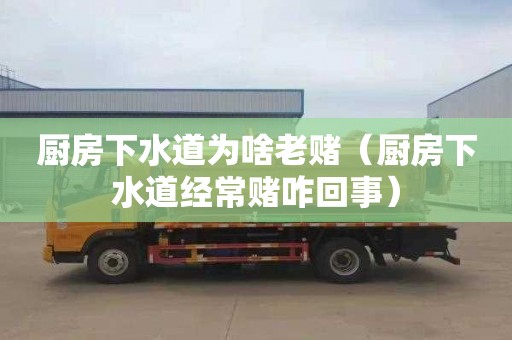 厨房下水道为啥老赌（厨房下水道经常赌咋回事）
