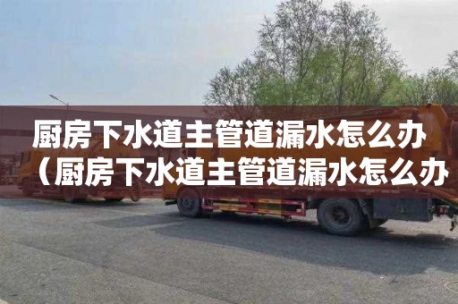 厨房下水道主管道漏水怎么办（厨房下水道主管道漏水怎么办视频）