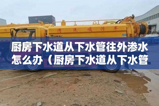 厨房下水道从下水管往外渗水怎么办（厨房下水道从下水管往外渗水怎么办呢）