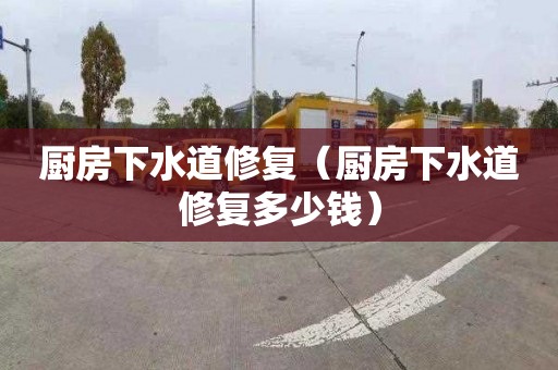 厨房下水道修复（厨房下水道修复多少钱）