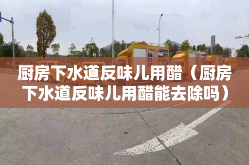 厨房下水道反味儿用醋（厨房下水道反味儿用醋能去除吗）