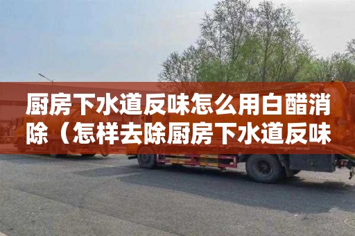 厨房下水道反味怎么用白醋消除（怎样去除厨房下水道反味）