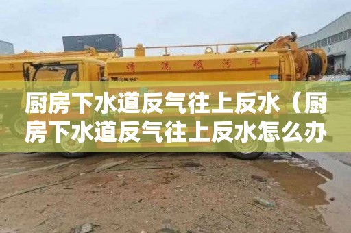 厨房下水道反气往上反水（厨房下水道反气往上反水怎么办）