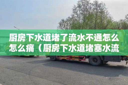 厨房下水道堵了流水不通怎么怎么痛（厨房下水道堵塞水流不下去）