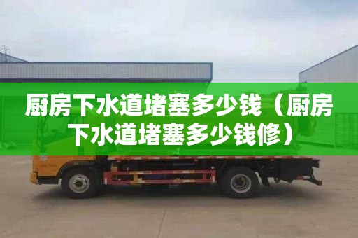 厨房下水道堵塞多少钱（厨房下水道堵塞多少钱修）