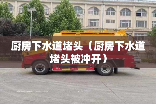 厨房下水道堵头（厨房下水道堵头被冲开）