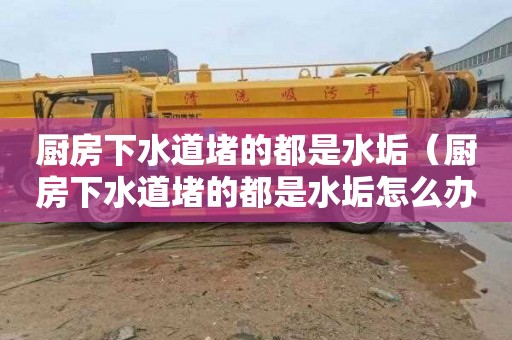 厨房下水道堵的都是水垢（厨房下水道堵的都是水垢怎么办）