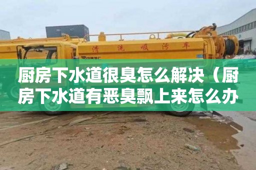 厨房下水道很臭怎么解决（厨房下水道有恶臭飘上来怎么办）