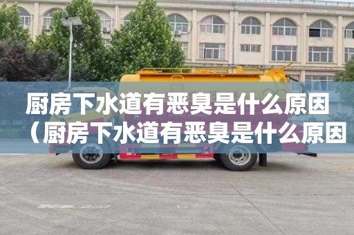 厨房下水道有恶臭是什么原因（厨房下水道有恶臭是什么原因造成的）