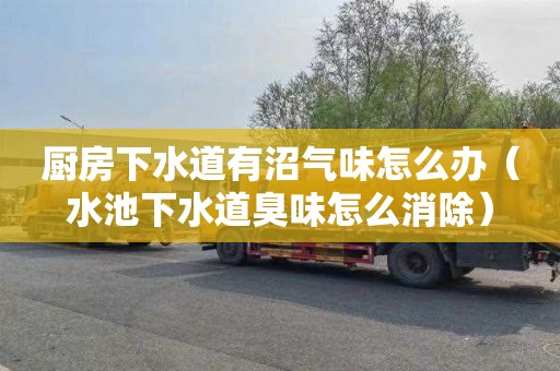 厨房下水道有沼气味怎么办（水池下水道臭味怎么消除）