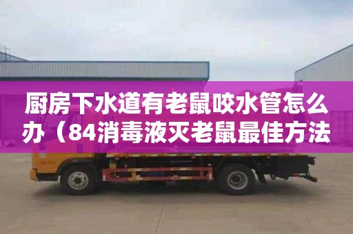 厨房下水道有老鼠咬水管怎么办（84消毒液灭老鼠最佳方法）