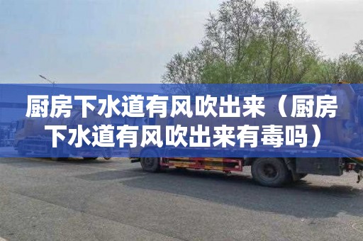 厨房下水道有风吹出来（厨房下水道有风吹出来有毒吗）