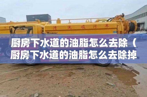 厨房下水道的油脂怎么去除（厨房下水道的油脂怎么去除掉）