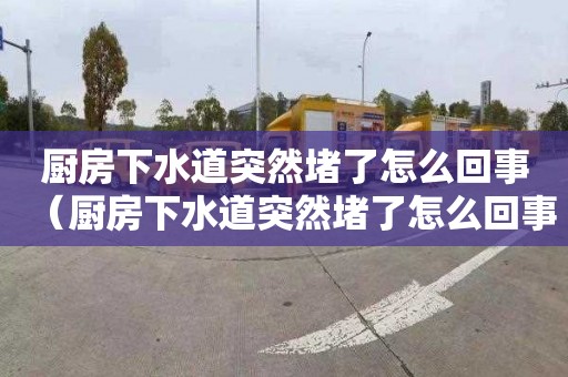 厨房下水道突然堵了怎么回事（厨房下水道突然堵了怎么回事啊）