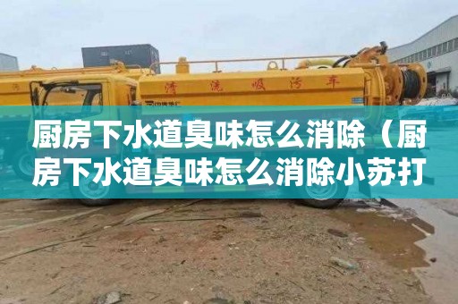 厨房下水道臭味怎么消除（厨房下水道臭味怎么消除小苏打）