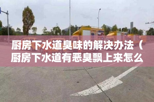 厨房下水道臭味的解决办法（厨房下水道有恶臭飘上来怎么办）